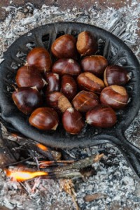 CHESTNUTS RECIPES