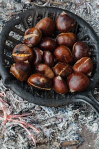 CHESTNUTS RECIPES