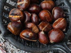 chestnuts