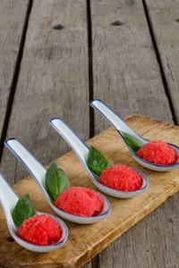 savoury_tomato_sorbet