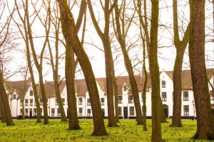 In Bruges