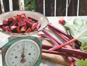 CCS152_P114-117_RECIPES-RHUBARB-1