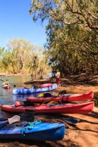 Gecko Canoeing-5258