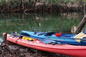 Gecko Canoe