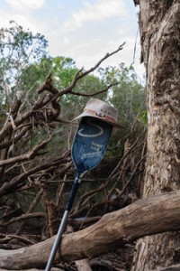 Gecko Canoeing-5290