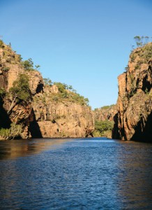 Gecko Canoe