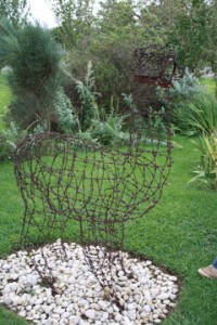 Barbed Wire-2101