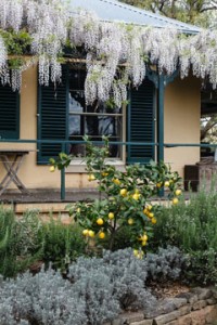 HARVEST HOME