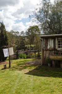 HARVEST HOME