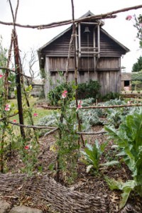 HARVEST HOME