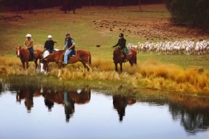 Rural-Retreats-eNews-header