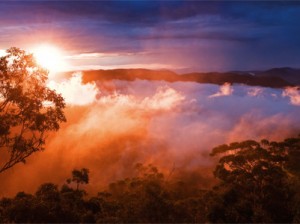 Scenic-Rim_Binna-Burra