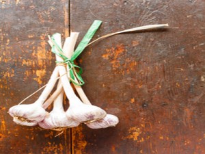 GARLIC RECIPES