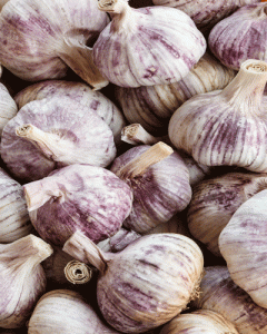 GARLIC RECIPES