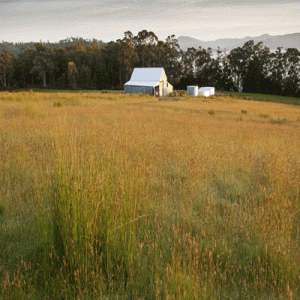 BRUNY & BEYOND