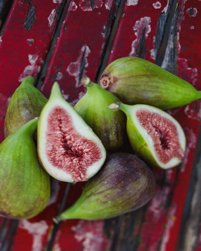 Figs-(3-of-11)