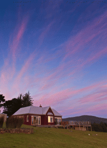 BRUNY & BEYOND