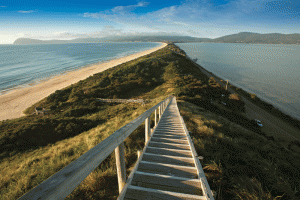 BRUNY & BEYOND