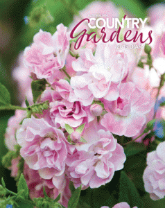 ACG15_FORMAT-C_Cover_FINAL