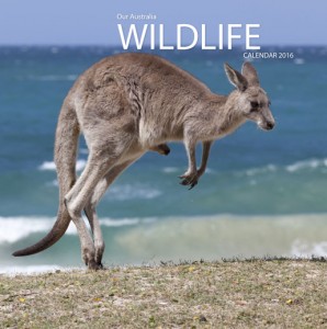 Australian-Wildlife-CAL16_f
