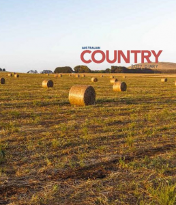 Country diary
