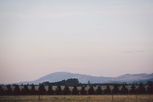 HIGHLAND FARM & HOMESTEAD