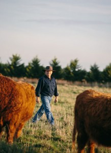 country-farm