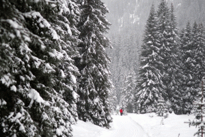 SNOWBOUND SPLENDOUR IN AUSTRIA