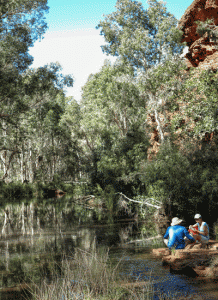 Karijini-3139