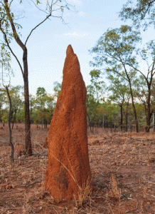 queensland-country-travel