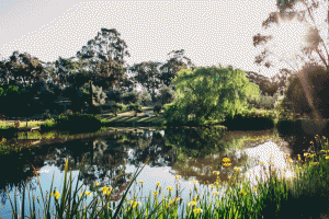 vic-country-garden