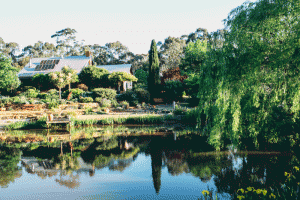 country-garden