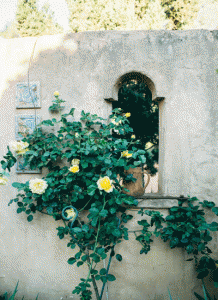 vic-country-garden