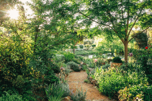 country-garden