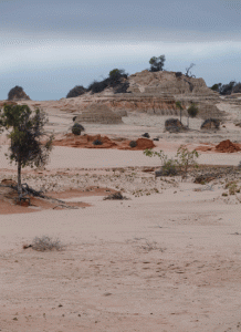 OUTBACK DREAMING