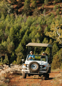 IMG-031.Flinders-Ranges.SA