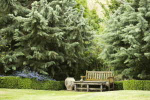 nz-country-garden