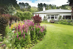 countr-nz-garden