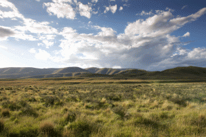 IMG-180.Central-Otago.NZ