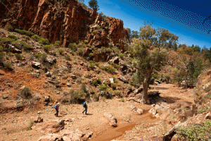 IMG-182.Flinders-Ranges.SA