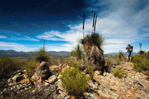 IMG-189.Flinders-Ranges.SA