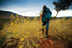 flinders-ranges-country-travel