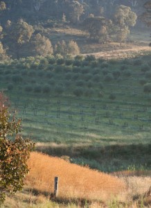 country-home