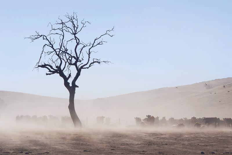 outback-country-travel