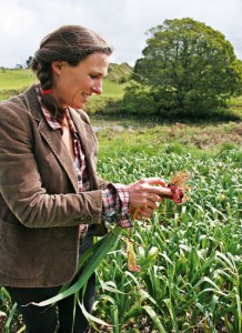 Garlic Farm