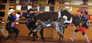 Charters-Towes-Rodeo