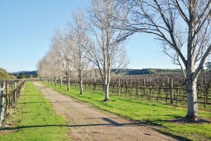 HUNTER VALLEY WEEKEND EXTRAVAGANZA