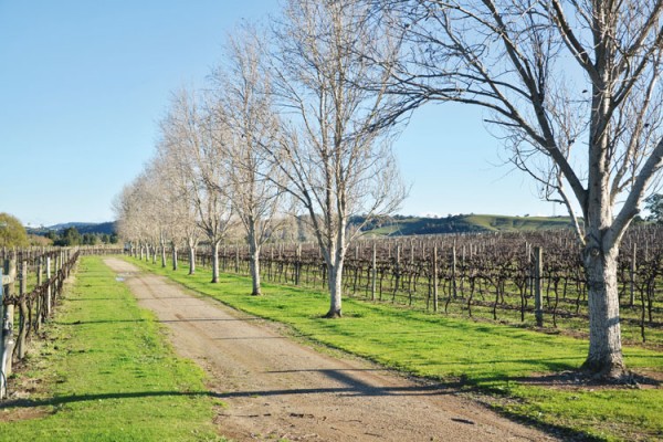 HUNTER VALLEY WEEKEND EXTRAVAGANZA