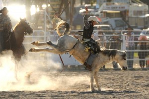 Warwick Rodeo