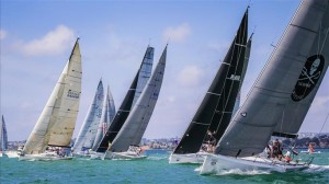 Festival of Sails